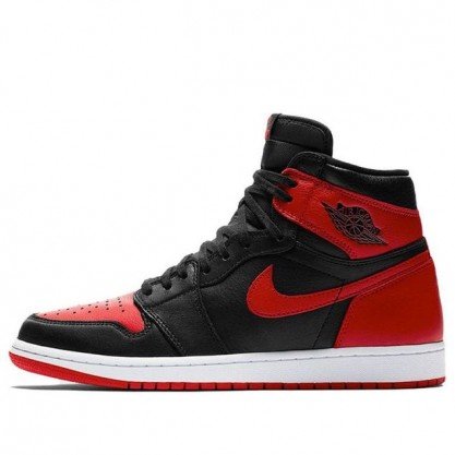 Air Jordan 1 Retro High OG Homage To Home 861428-061