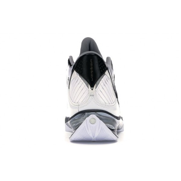 Air Jordan 2009 343084-161