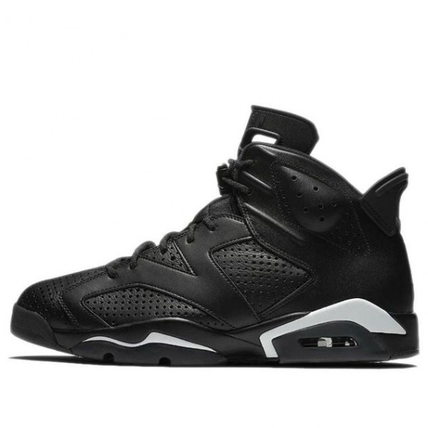 Air Jordan 6 Retro Black cat 384664-020