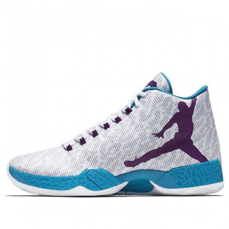 Air Jordan XX9 Hornets 822227-154