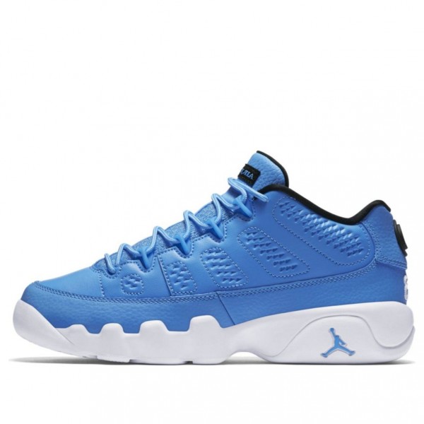 Air Jordan 9 Retro Low BG Pantone 833447-401