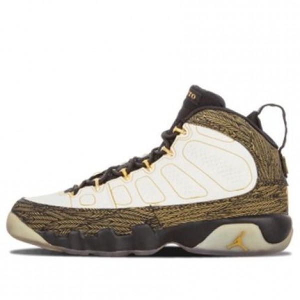 Air Jordan 9 Retro DB GS 'Doernbecher' White/Metallic Gold-Black 580891-170