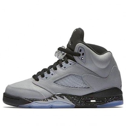 Air Jordan 5 Retro GG Wolf Grey 440892-008