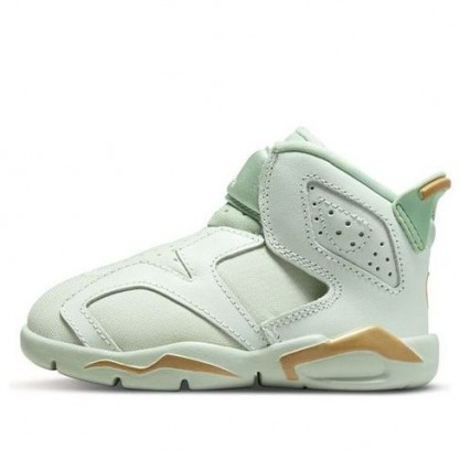 Air Jordan 6 Retro LTL Flex GC TD DN1769-073