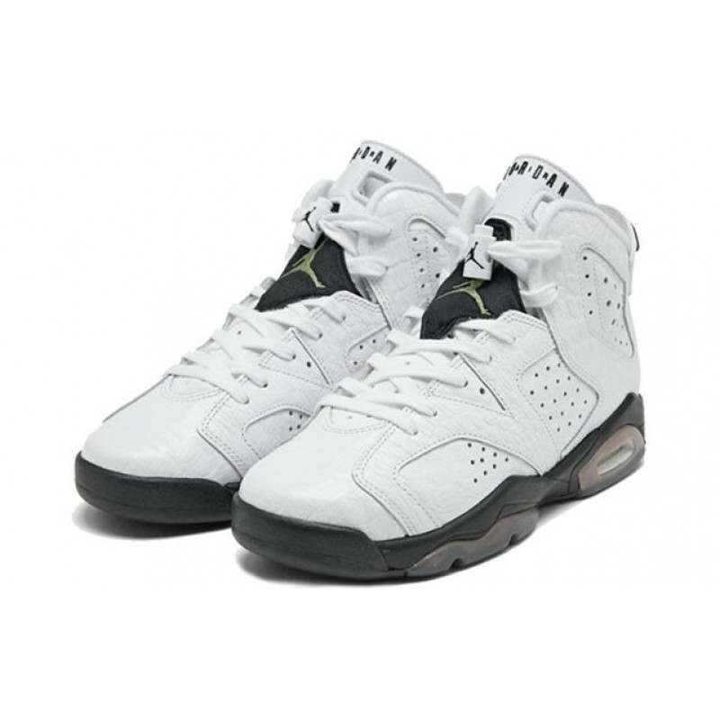 Air Jordan 6 Retro GS Alligator 384665-110