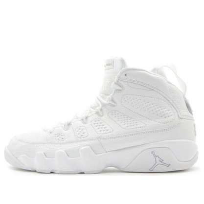 Air Jordan 9 Retro '25th Anniversary' White/Metallic Silver 302370-104