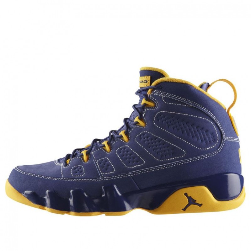 Air Jordan 9 Retro Calvin Bailey 302370-445