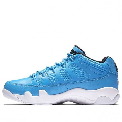 Air Jordan 9 Retro Low Pantone 832822-401