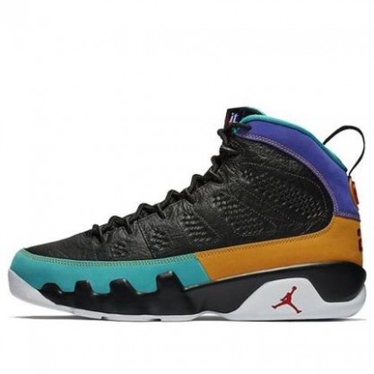 Air Jordan 9 Retro Dream It Do It 302370-065