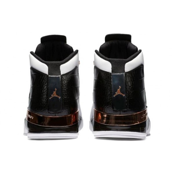 Air Jordan 17 Retro Copper 832816-122