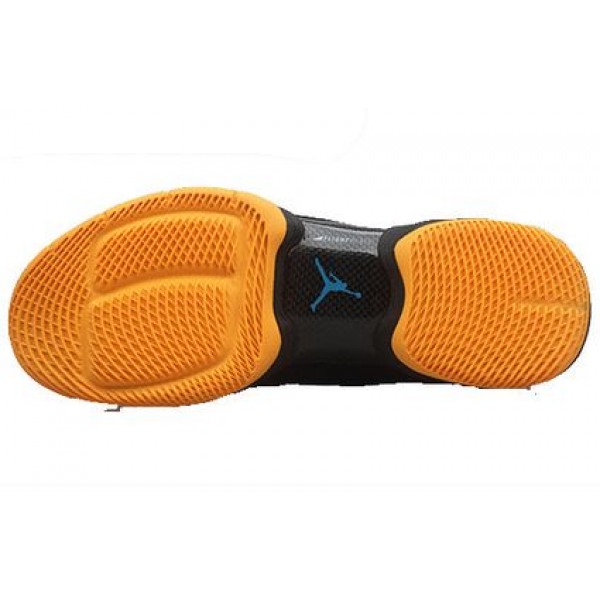 Air Jordan XX8 SE Black Mango Powder Blue 616345-036