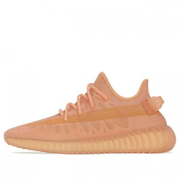 Adidas originals Yeezy Boost 350 V2 Mono Clay GW2870