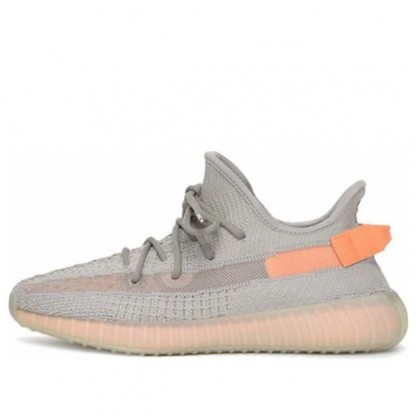 Adidas Yeezy Boost 350 V2 True Form EG7492