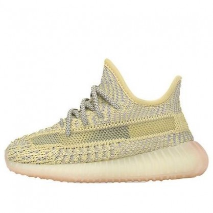 Adidas Yeezy Boost 350 V2 Antlia Non-Reflective FV3245